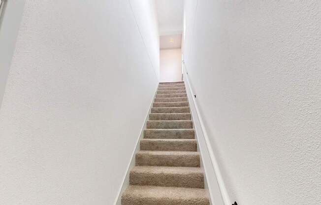 A staircase with beige carpeted steps and white walls.
