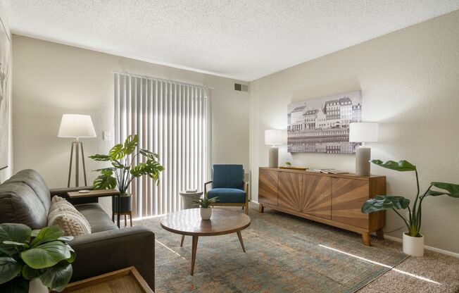 1 bed, 1 bath, 700 sqft, $849, Unit 205