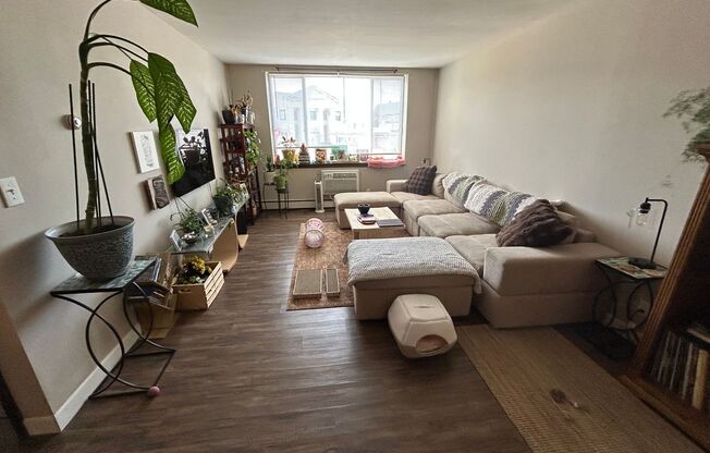 1 bed, 1 bath, $1,125, Unit 101