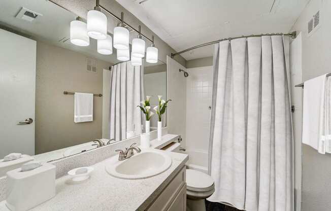 a bathroom with a sink and a mirror and a shower