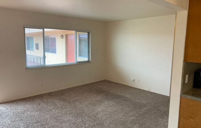 1 bed, 1 bath, $2,500, Unit 12