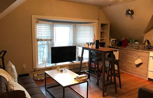 2 beds, 1 bath, $3,000, Unit 1