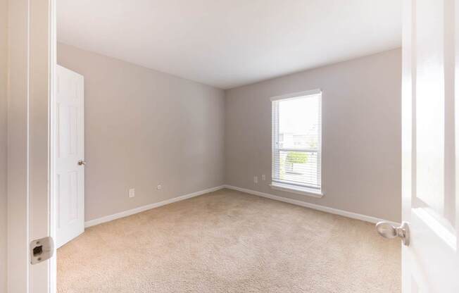 A room with a carpeted floor and a window with blinds.