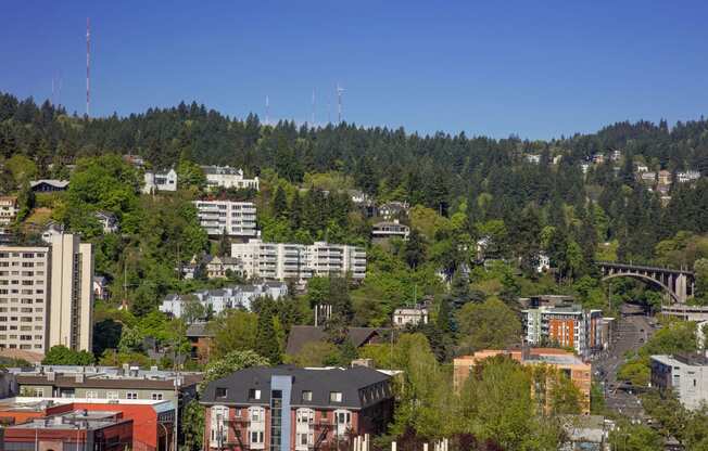 a city with trees and buildings on a hill