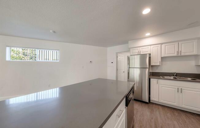 Kitchen Island and Appliances View.jpg