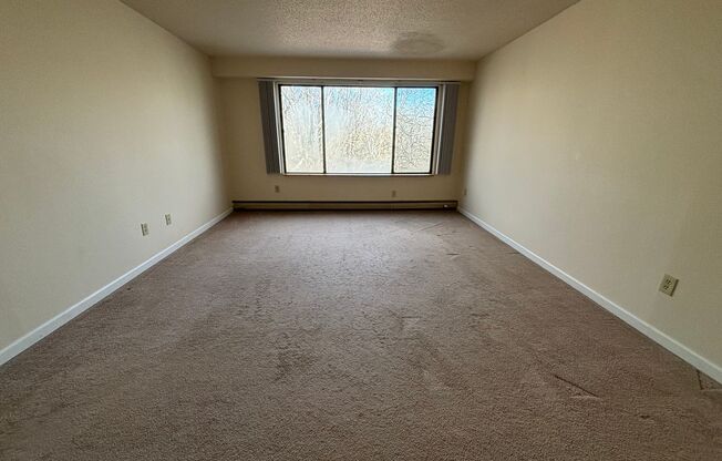 1 bed, 1 bath, $1,200, Unit 308