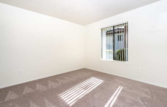 A room with a carpet and a window.