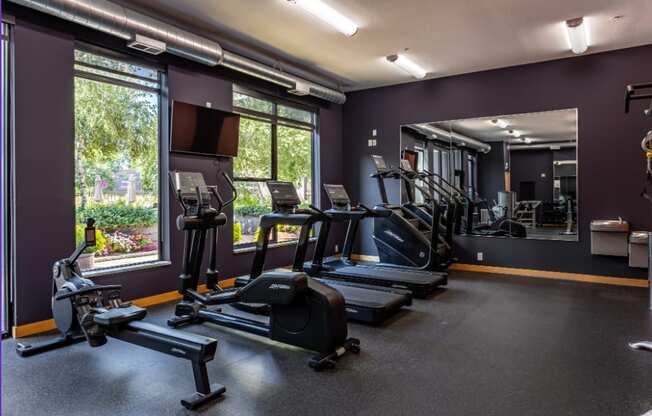 A gym with treadmills, elliptical machines, and a mirror.