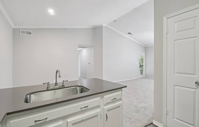 A kitchen with a sink and a door.