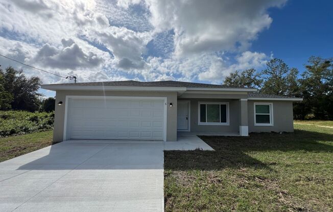 Beautiful, BRAND NEW 3 Bedroom, 2 Bathroom Home in Ocklawaha!!