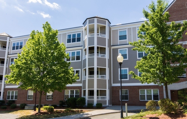 2 beds, 2 baths, 1,170 sqft, $3,700, Unit 304