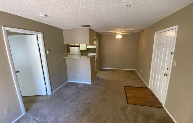 Modern 1-Bedroom Apartment with Amenities in Altamonte Springs