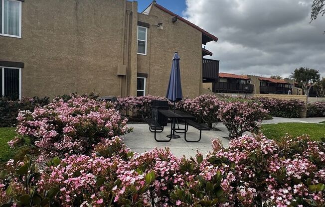 1 bed, 1 bath, 665 sqft, $2,100, Unit 87