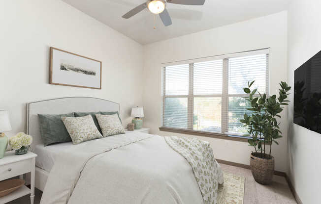 Carpeted Bedroom