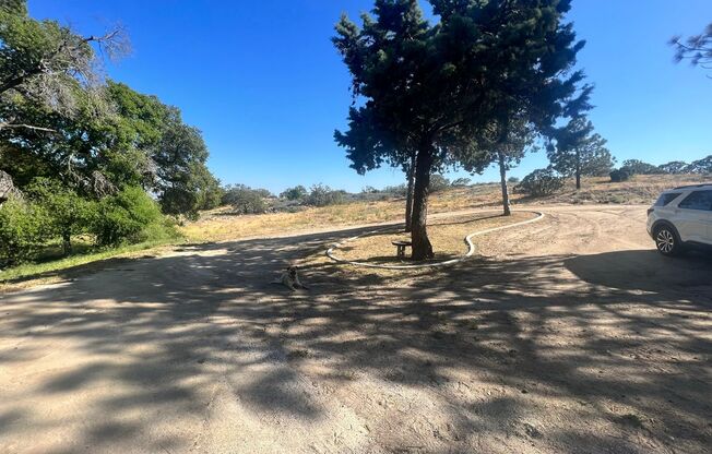 3 beds, 2 baths, $2,395