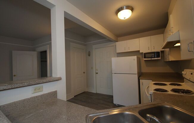 1 bed, 1 bath, 504 sqft, $1,395, Unit 311