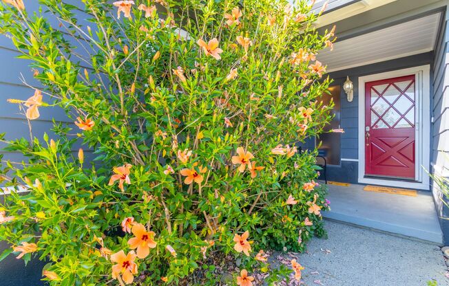 10 Month FURNISHED Lease: Bring Indoor/Outdoor Living HOME with this 3bd+/2.5ba plus Pool & Hot Tub