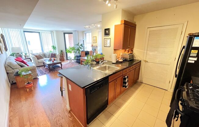 Luxurious living in Penn Quarter