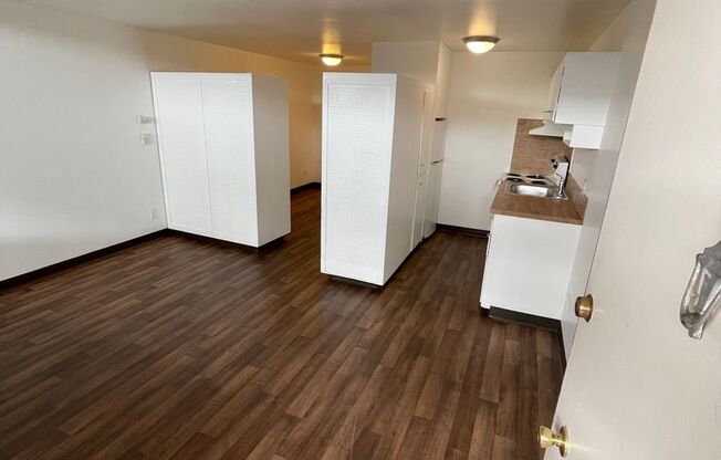 Studio, 1 bath, 450 sqft, $1,150, Unit 109