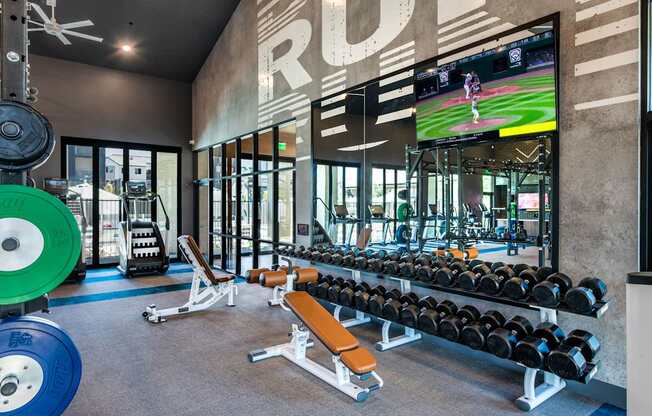 a gym with weights and a tv on the wall
