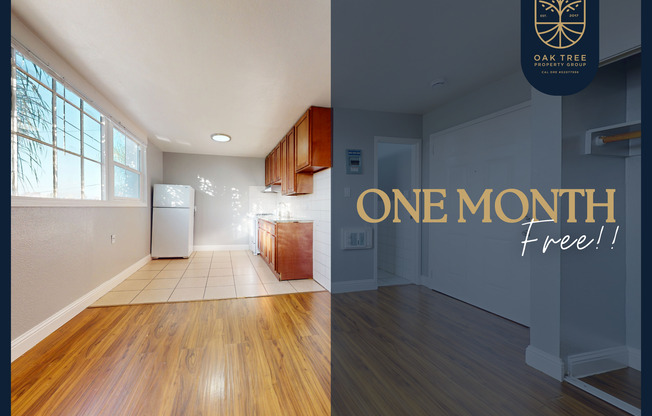 Studio, 1 bath, 264 sqft, $1,495, Unit #217