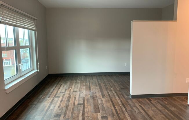 Studio, 1 bath, 420 sqft, $1,550, Unit 404