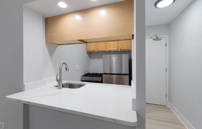 Studio, 1 bath, 295 sqft, $1,395, Unit 338