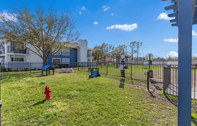 the preserve at ballantyne commons dog park with a fire hydrant