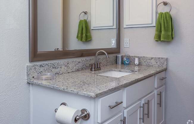 Eastgrove Apartments Bathroom Sink and Mirror