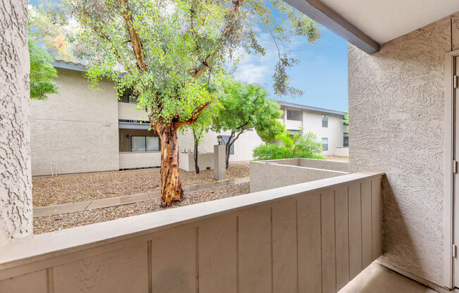 Modern Remodeled 2 Bedroom 2 Full Bath in Tempe