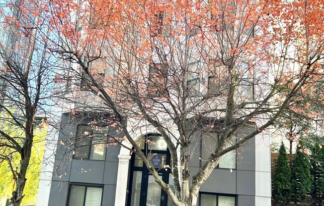 Studio, 1 bath, 237 sqft, $995, Unit 206