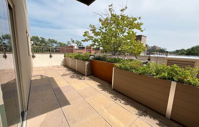 2 beds, 1 bath, 826 sqft, $2,500, Unit 410