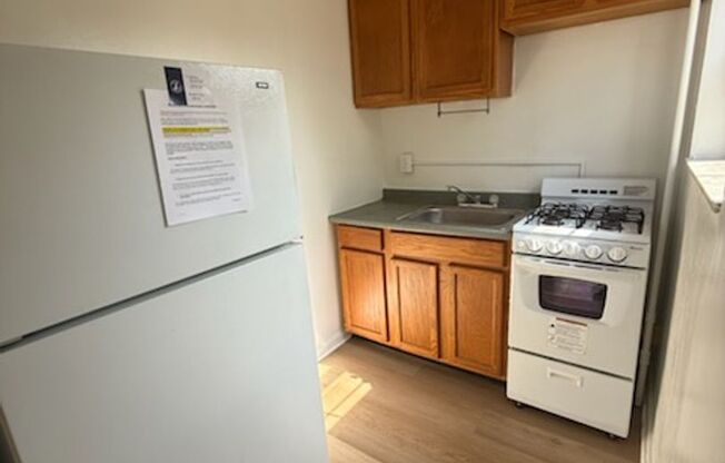Studio, 1 bath, 487 sqft, $1,300, Unit Fifth 201