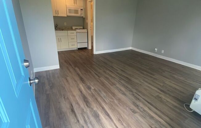 Studio, 1 bath, 500 sqft, $895, Unit 246