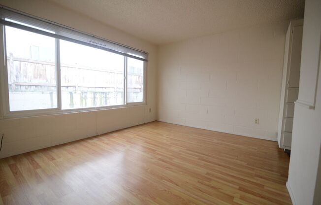 Studio, 1 bath, 250 sqft, $1,050, Unit 206