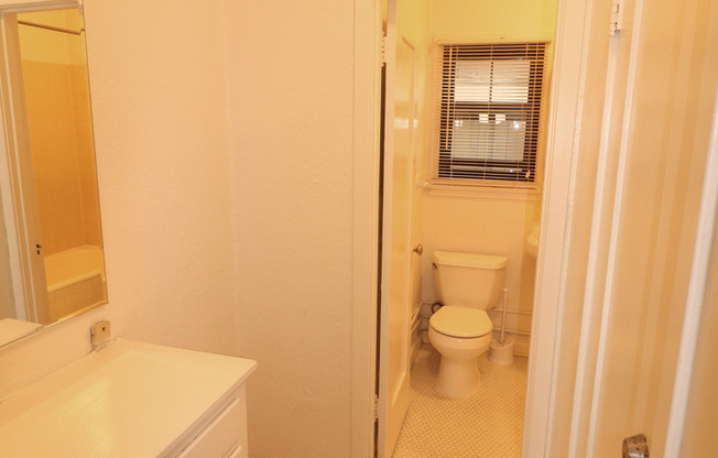 Studio, 1 bath, 375 sqft, $1,595, Unit 202