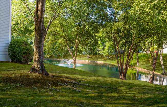 a pool of water surrounded by trees next to a house