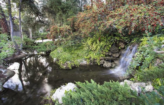 a stream in a garden with a waterfall