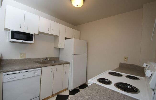 Studio, 1 bath, 423 sqft, $1,195, Unit 104