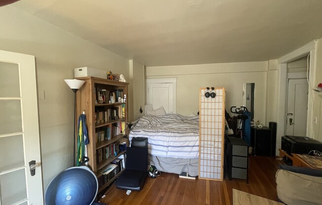 15 Linnaean St.