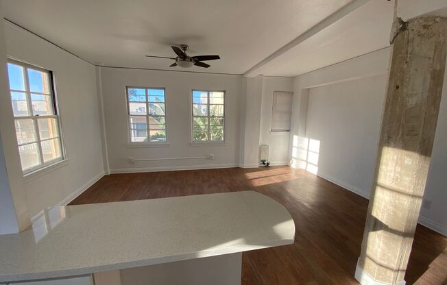 Studio, 1 bath, 420 sqft, $1,635, Unit 209