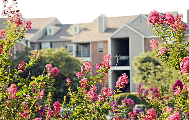 Well-maintained grounds and beautiful landscaping at Valley Ranch Apartments
