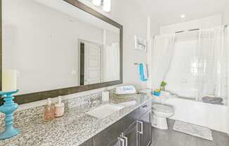 a bathroom with a sink and a mirror and a toilet