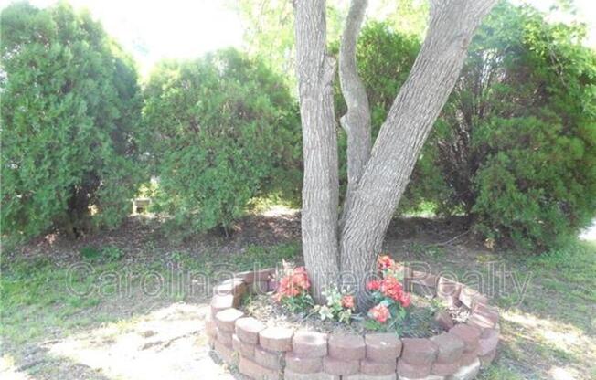 11518 GRN WILLOW LN