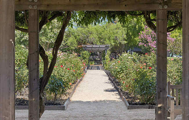 Walkway through a garden with trees and flowers at Walnut Creek Manor Apartments in Walnut Creek, CA