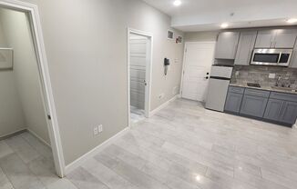 Studio, 1 bath, 250 sqft, $1,100, Unit 1A