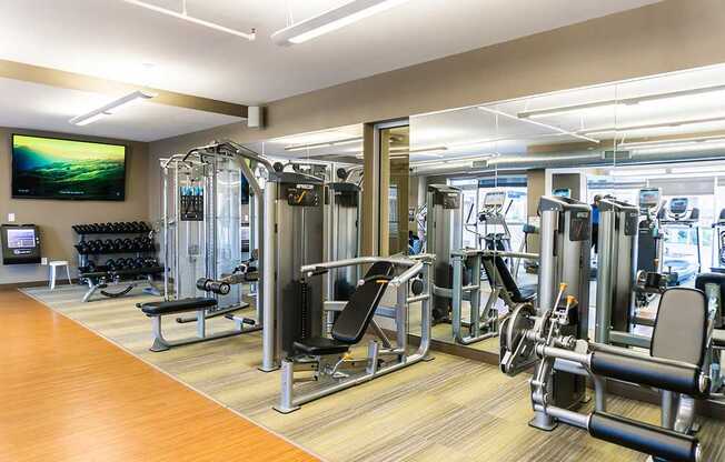 Fitness studio with cardio machines and free weights