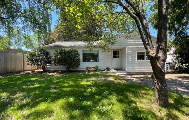 Charming S. Tabor 2 Bed + Bonus Room, 2 Bath Ranch House w/ Washer/Dryer and Incredible Fenced Yard!