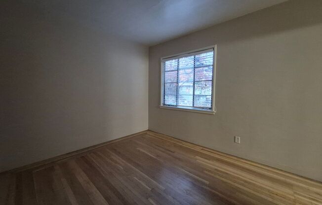 1 bed, 1 bath, $1,510, Unit 11B