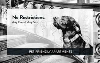 Brewster Place pet friendly